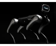 Magiclab Magicdog Edu - 1470907 - zdjęcie 12